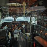 Daliukas Profile Picture