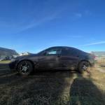 Žygimantas Stašys profile picture