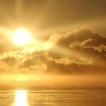 Nerijus D profile picture